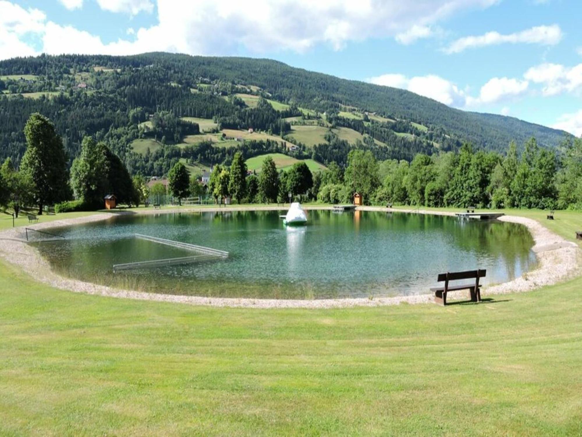 Chalet In Stadl An Der Mur Styria With Terrace Bagian luar foto